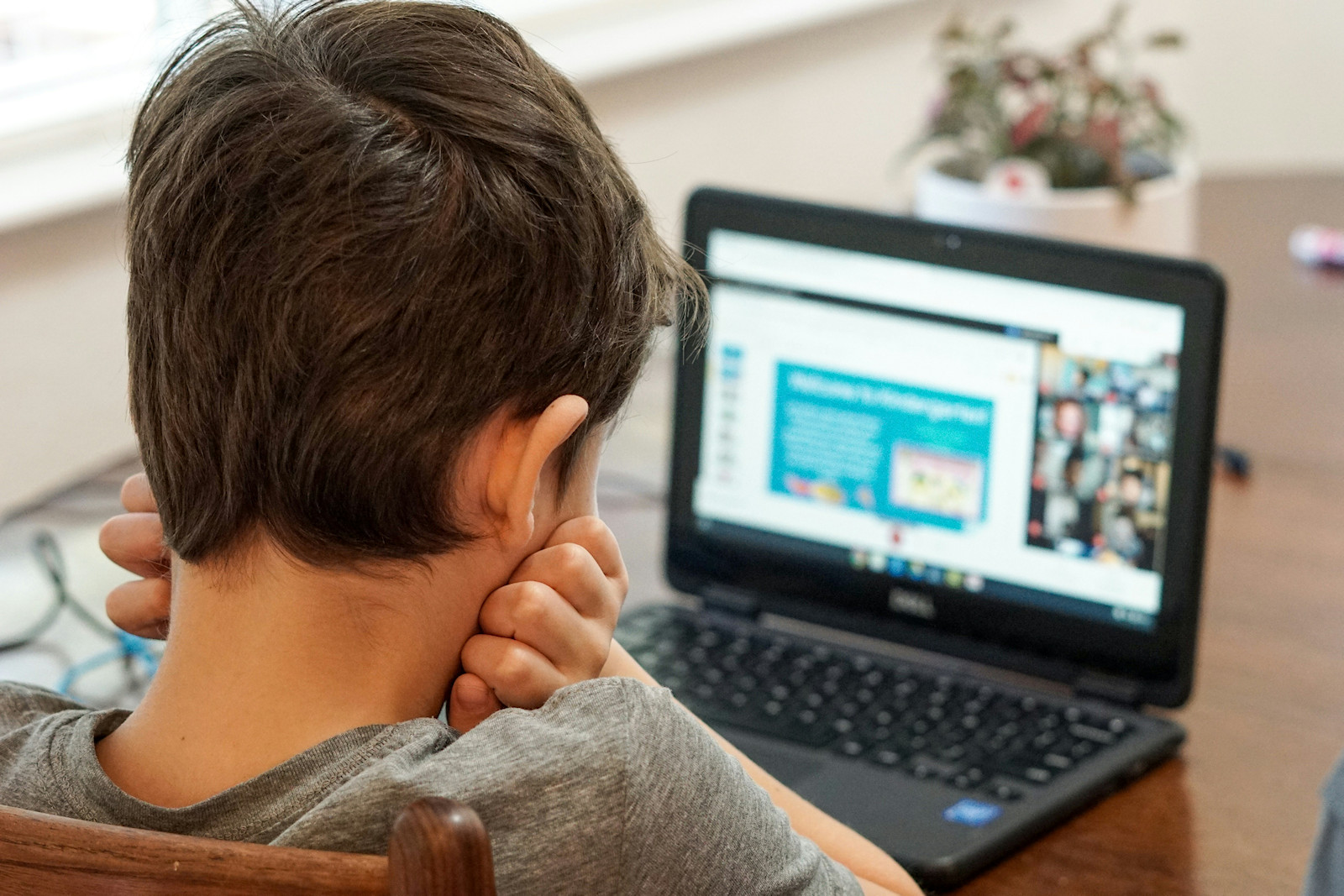Cyberbullismo, 1 ragazzo su 5 ne è vittima lo studio Moige