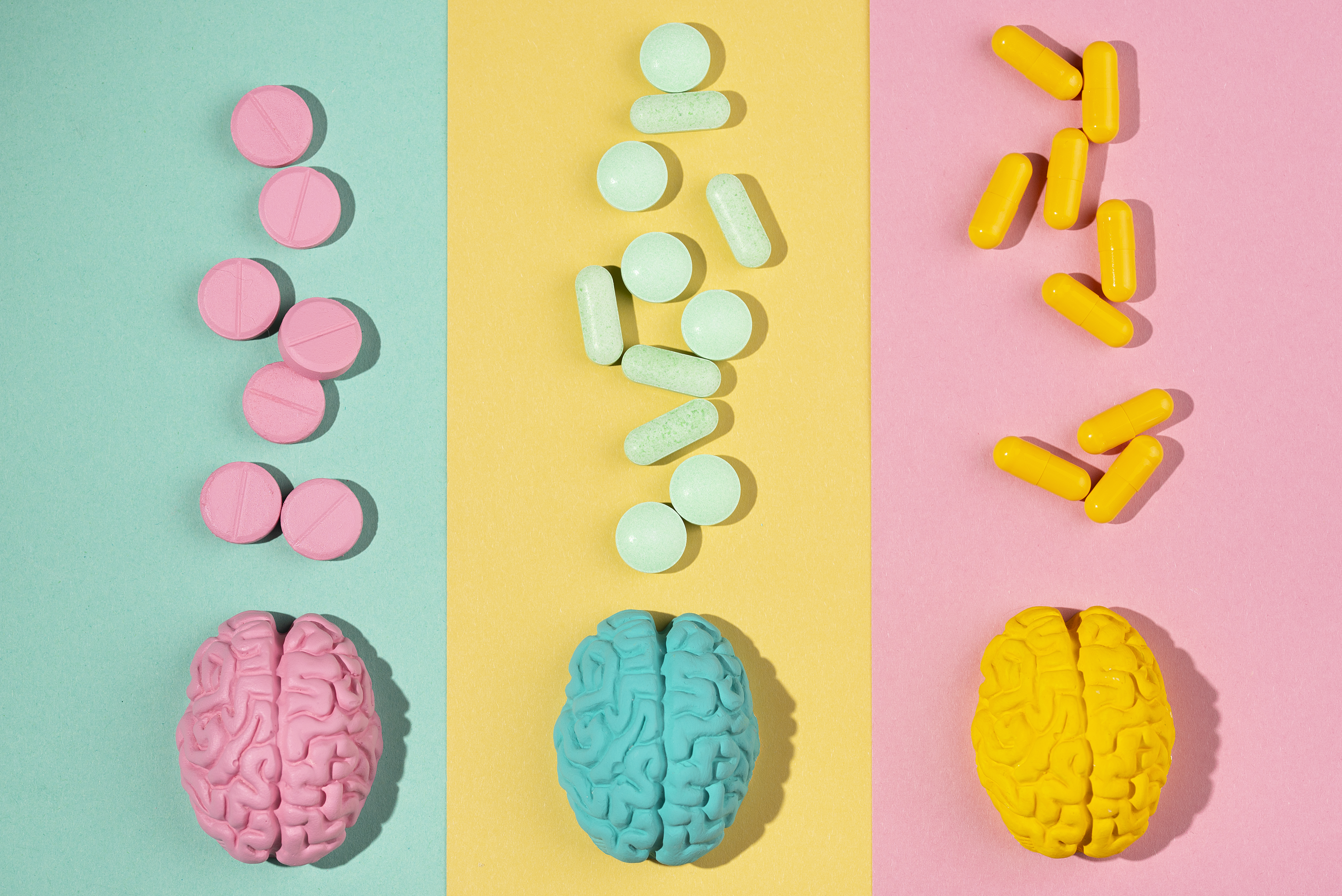 linguaggio del gusto