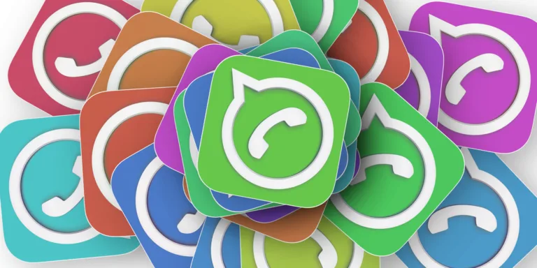 Nome utente WhatsApp
