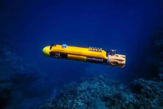 Con l'elettroecologia i robot si ispirano agli animali per salvare l'ambiente